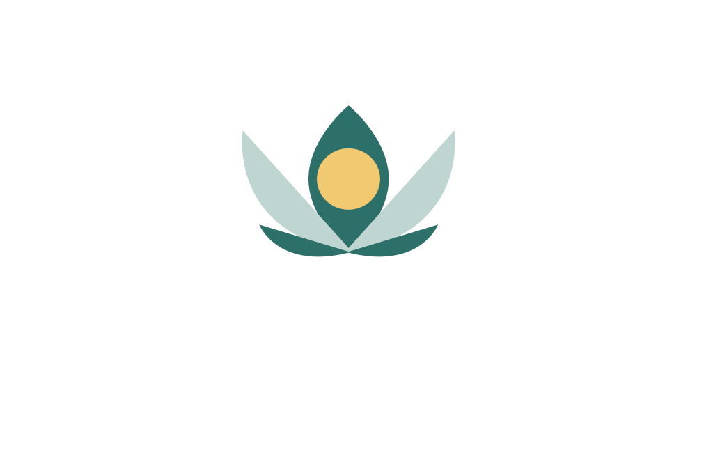 Superwyze_logo_HD_blanc_blanc